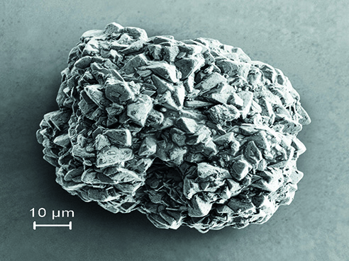 DCPA A60-干法制粒和對(duì)水敏感API的更好選擇